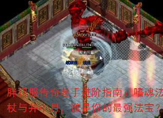 胖妞服传奇老手进阶指南:嗜魂法杖与井中月,谁是你的最强法宝? 胖妞服传奇老手进阶指南:嗜魂法杖与井中月,谁是你的最强法宝?