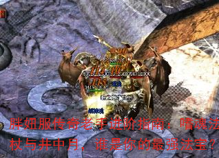 ��椷��������ֽ���ָ�ϣ��Ȼ귨���뾮���£�˭�������ǿ������