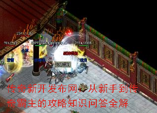 �����¿��������������ֵ���������Ĺ���֪ʶ�ʴ�ȫ��