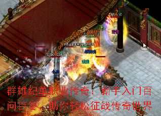 Ⱥ�ۼ͵�ְҵ���棺�������Ű��ʰٴ�����������ս��������