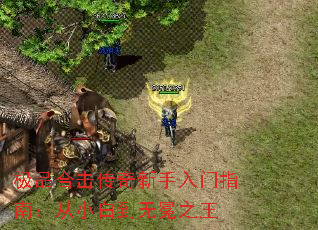 极品合击传奇新手入门指南:从小白到无冕之王 极品合击传奇新手入门指南:从小白到无冕之王
