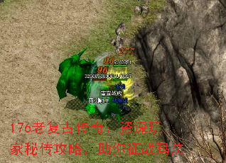 176老复古传奇:资深玩家秘传攻略,助你征战玛法 176老复古传奇:资深玩家秘传攻略,助你征战玛法