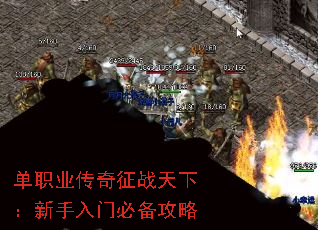 ��ְҵ������ս���£��������űر�����