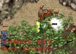 传奇霸业初探:新手攻略大全,助你叱咤风云 传奇霸业初探:新手攻略大全,助你叱咤风云