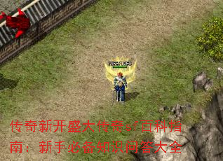 �����¿�ʢ����sf�ٿ�ָ�ϣ����ֱر�֪ʶ�ʴ��ȫ