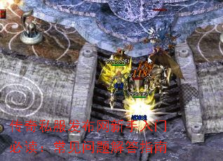 ����˽���������������űض�������������ָ��
