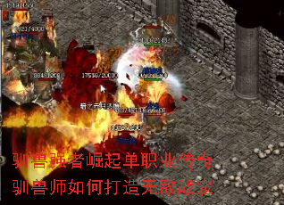 驯兽强者崛起单职业传奇驯兽师如何打造无敌战宠 驯兽强者崛起单职业传奇驯兽师如何打造无敌战宠