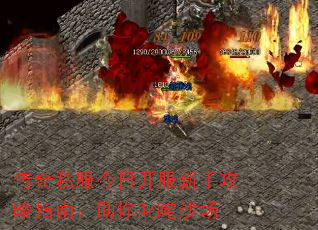 ����˽�����տ������ֹ���ָ�ϣ�����߳��ɳ��