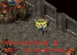 ����95˽�������ؼ���������������Ʒװ����ȡָ��