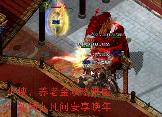 少侠,养老金攻略来啦!如何在凡间安享晚年 少侠,养老金攻略来啦!如何在凡间安享晚年