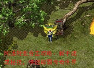 网通轻变合击攻略:新手速成秘技,快速称霸传奇世界 网通轻变合击攻略:新手速成秘技,快速称霸传奇世界