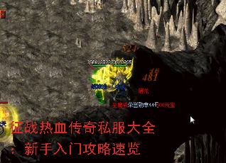 ��ս��Ѫ����˽����ȫ���������Ź�������