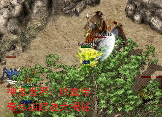 ������磺��Ѫ����˽���ټ������