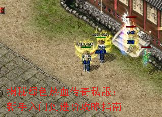 ������ɫ��Ѫ����˽�����������ŵ����׹���ָ��