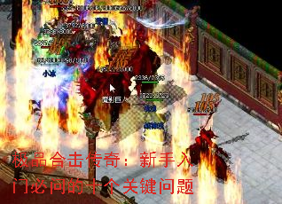 ��Ʒ�ϻ����棺�������ű��ʵ�ʮ���ؼ�����