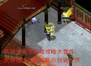 ���δ����̬�湥�Դ��ը�������ٳ�ָ�ϣ�����۳�����