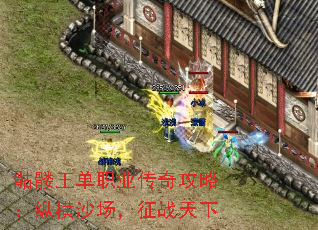骷髅王单职业传奇攻略:纵横沙场,征战天下 骷髅王单职业传奇攻略:纵横沙场,征战天下
