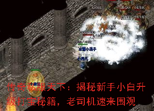 传奇私服天下:揭秘新手小白升级打宝秘籍,老司机速来围观 传奇私服天下:揭秘新手小白升级打宝秘籍,老司机速来围观
