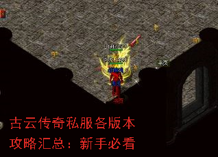 ���ƴ���˽�����汾���Ի��ܣ����ֱؿ�