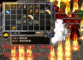 ��Ѫ����˽���������µ������Ľ���֮·