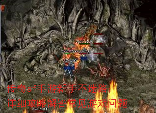����sf�������ֲ���·����ϸ���Խ�𳣼���Ϸ����