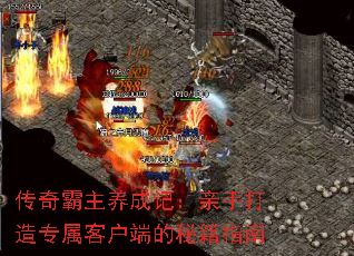 ����������ɼǣ����ִ���ר���ͻ��˵��ؼ�ָ��