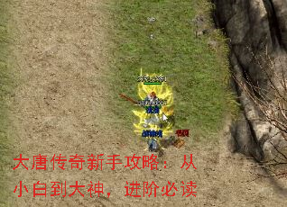 大唐传奇新手攻略:从小白到大神,进阶必读 大唐传奇新手攻略:从小白到大神,进阶必读