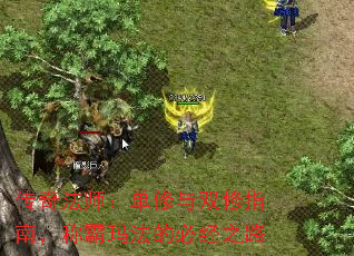 ���淨ʦ��������˫��ָ�ϣ��ư��귨�ıؾ�֮·
