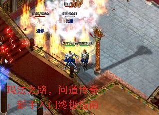 �귨֮·���ʵ����棺���������ռ�ָ��