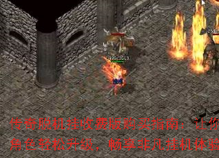 �����ѻ����շѰ湺��ָ�ϣ�����Ľ�ɫ���������������Ƿ��һ�����