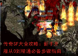 ����SF��ȫ���ԣ����ֿ�����0����ͨ�ر�����ָ��