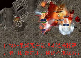 ����SF���¿ͻ��˰汾ͨ���ؼ�����˾�������ã��㻹����̽����