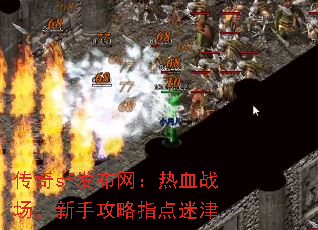 传奇sf发布网:热血战场,新手攻略指点迷津 传奇sf发布网:热血战场,新手攻略指点迷津