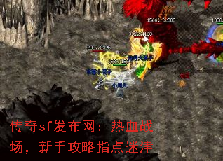 传奇sf发布网:热血战场,新手攻略指点迷津 传奇sf发布网:热血战场,新手攻略指点迷津