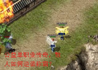 ���浥ְҵ���棬ɢ�������Ϯ�ưԣ�