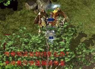 ������վ���ٳ���ô�죿���������ٽ���ָ�
