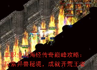 ��ְҵɽ���������۷幥�ԣ�̽�������ؾ����ɾͿ�������