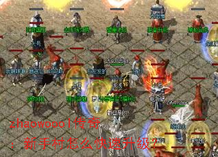 zhaowoool���棺���ִ���ô����������