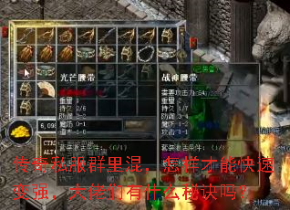 传奇私服群里混,怎样才能快速变强,大佬们有什么秘诀吗? 传奇私服群里混,怎样才能快速变强,大佬们有什么秘诀吗?