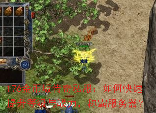 176��Ұ洫��˽������ο��������ȼ���ս�����ưԷ�������