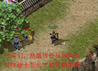 兄弟们,热血传奇私服灵拟,法师PK战士怎么才能秀翻全场? 兄弟们,热血传奇私服灵拟,法师PK战士怎么才能秀翻全场?