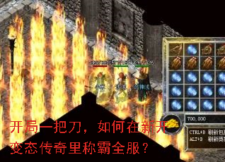 ����һ�ѵ���������¿���̬������ư�ȫ����