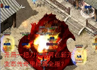 ����һ�ѵ���������¿���̬������ư�ȫ����