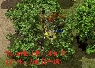 传奇新服开荒,如何快速提升战力制霸全场? 传奇新服开荒,如何快速提升战力制霸全场?