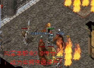 ���ɵ�ְҵ3.0���棺ս����ο���������