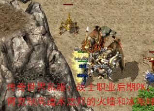 ��������˽����սʿְҵ����PK����ο��Ƹߵ�����ʦ�Ļ�ǽ�ͱ�������