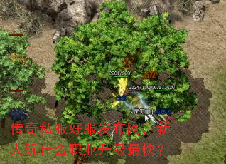 传奇私服好服发布网,新人玩什么职业升级最快? 传奇私服好服发布网,新人玩什么职业升级最快?