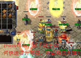 zhaosfcom:新手战士如何快速提升等级,称霸玛法大陆? zhaosfcom:新手战士如何快速提升等级,称霸玛法大陆?
