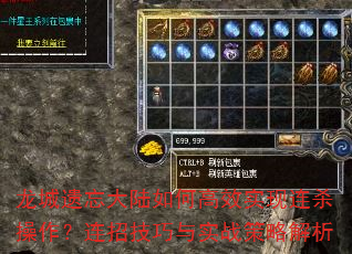 龙城遗忘大陆如何高效实现连杀操作?连招技巧与实战策略解析 龙城遗忘大陆如何高效实现连杀操作?连招技巧与实战策略解析