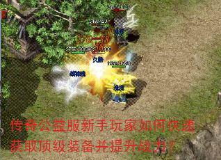 传奇公益服新手玩家如何快速获取顶级装备并提升战力? 传奇公益服新手玩家如何快速获取顶级装备并提升战力?